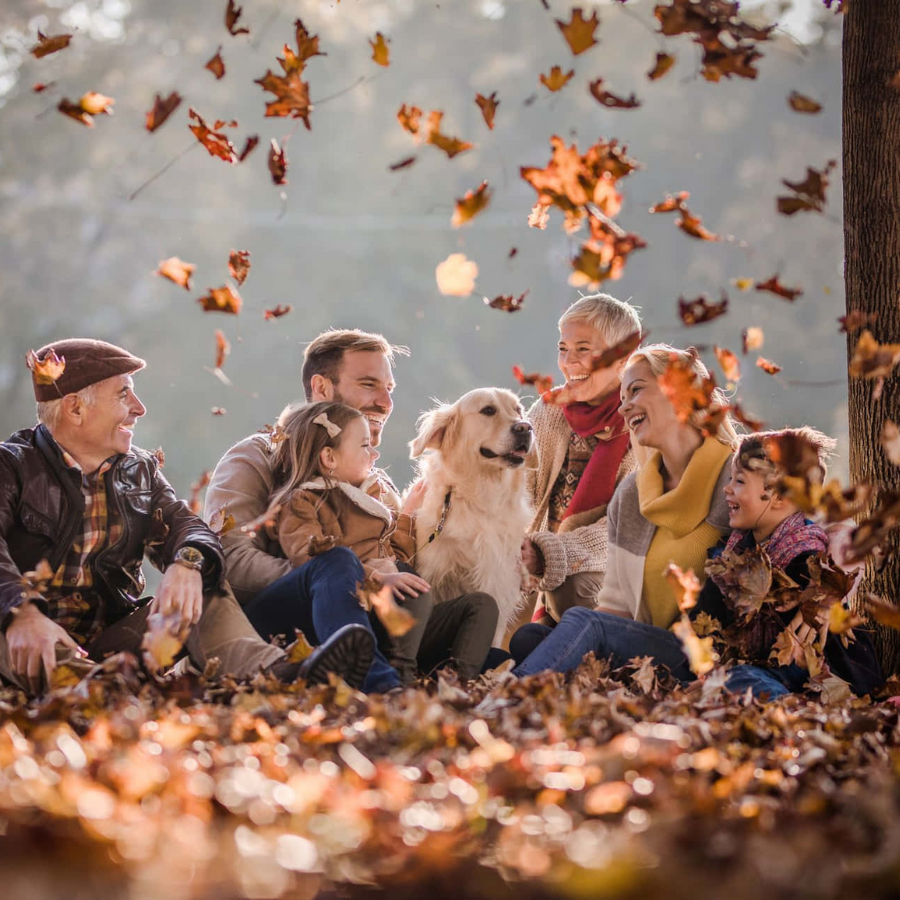 Fall Season