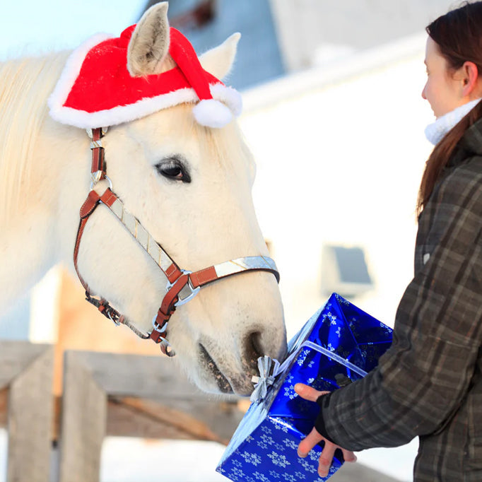 Gifts for Horse Lovers