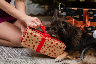 For Dog Lovers